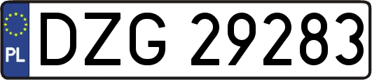 DZG29283