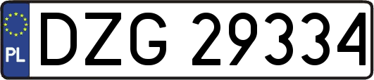 DZG29334