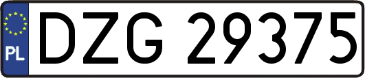 DZG29375