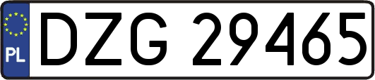 DZG29465
