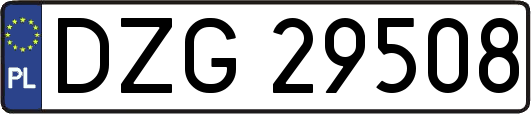 DZG29508