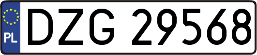 DZG29568