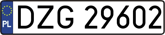 DZG29602