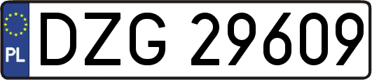 DZG29609