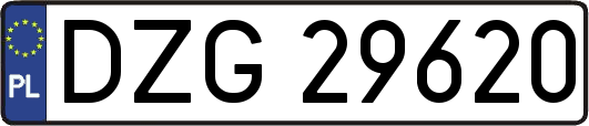 DZG29620