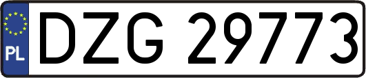 DZG29773