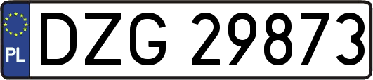 DZG29873