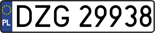 DZG29938