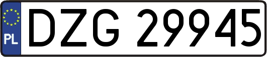 DZG29945