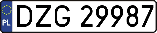 DZG29987