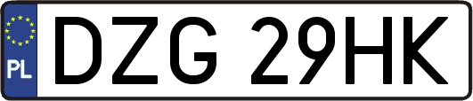 DZG29HK