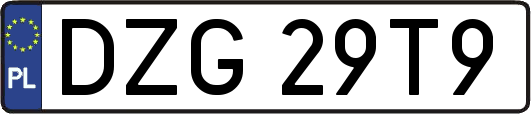 DZG29T9