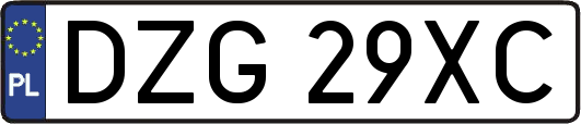 DZG29XC