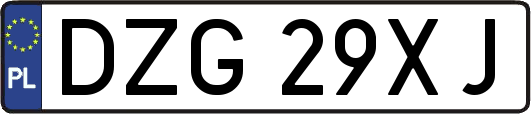 DZG29XJ