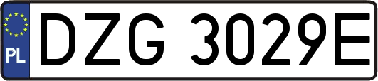 DZG3029E