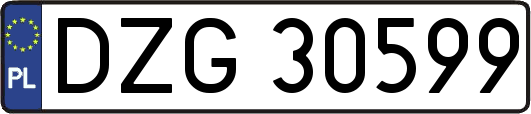 DZG30599