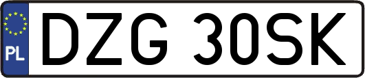 DZG30SK
