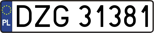 DZG31381