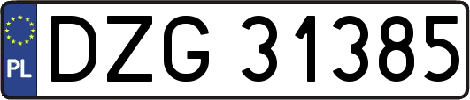 DZG31385