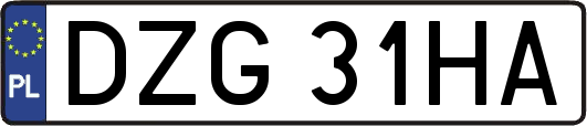 DZG31HA