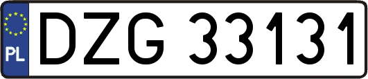 DZG33131