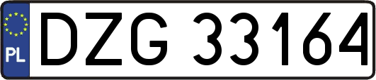 DZG33164