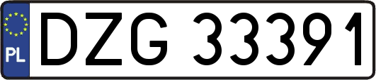 DZG33391