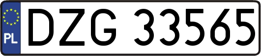 DZG33565