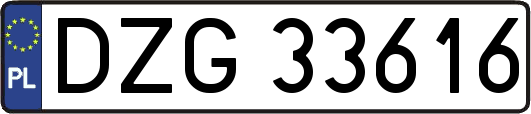 DZG33616