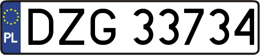 DZG33734