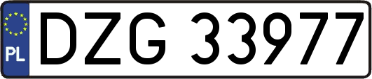 DZG33977