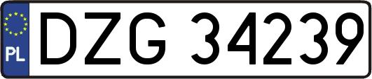 DZG34239