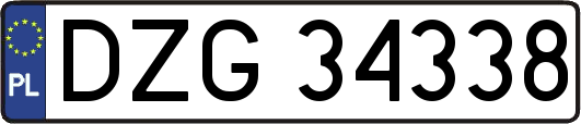 DZG34338