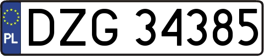 DZG34385