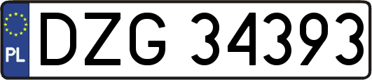 DZG34393