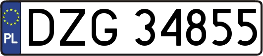 DZG34855