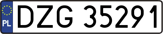 DZG35291