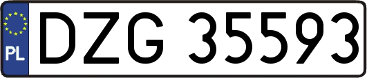 DZG35593
