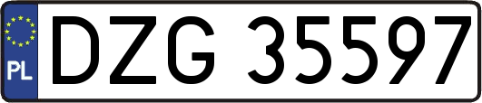DZG35597