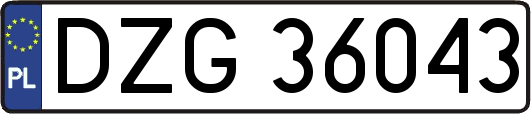 DZG36043