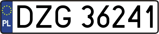 DZG36241