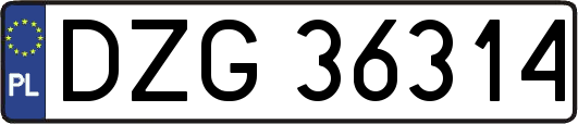 DZG36314
