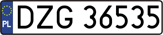 DZG36535