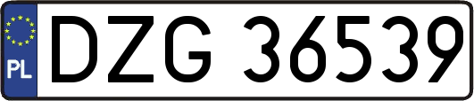 DZG36539