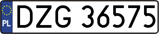 DZG36575