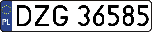 DZG36585