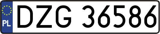 DZG36586
