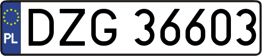 DZG36603