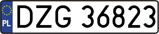 DZG36823