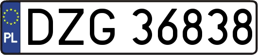 DZG36838
